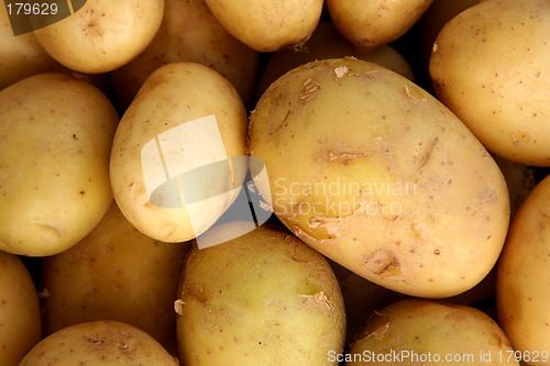 Image of Potatos