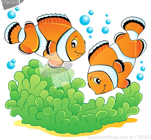 Image of Clown fish theme image 1