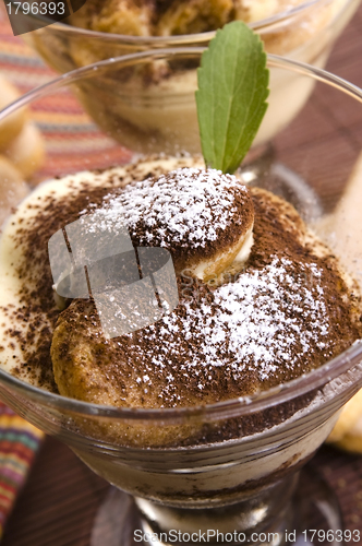 Image of Tiramisu Dessert 