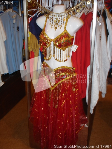 Image of Belly Dancer's Dress