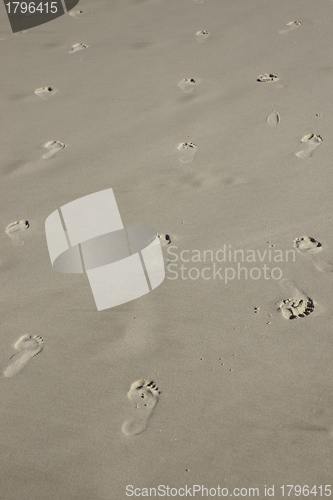 Image of footprints in the sand