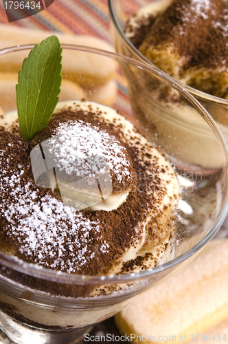 Image of Tiramisu Dessert 