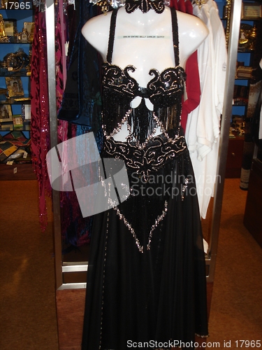 Image of Belly Dancing Costume