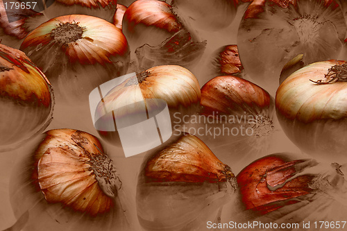 Image of Onion