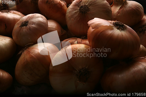 Image of Onion