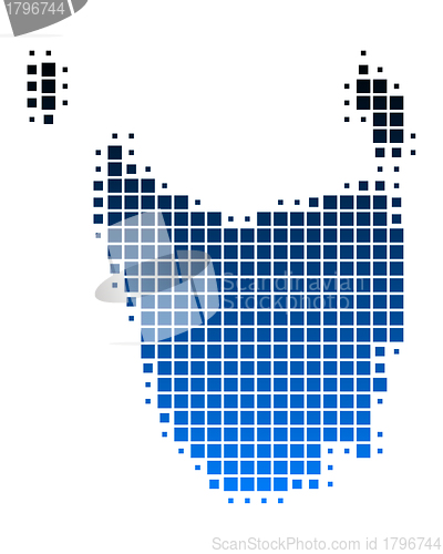 Image of Map of Tasmania