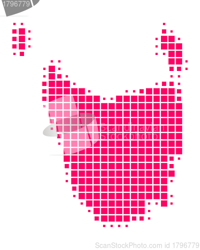 Image of Map of Tasmania