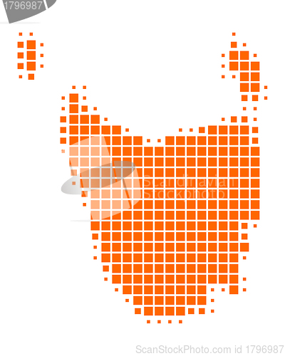 Image of Map of Tasmania