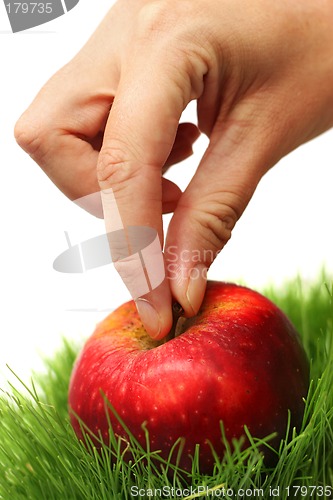 Image of Apple and Hand