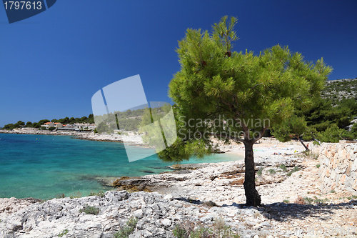 Image of Adriatic Sea beach