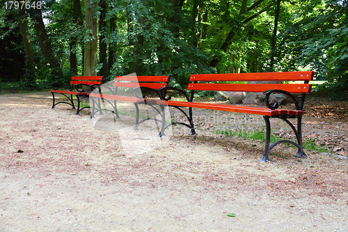 Image of Benches in Park