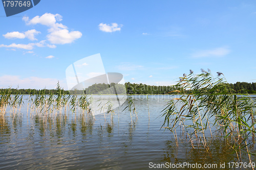 Image of Mazury