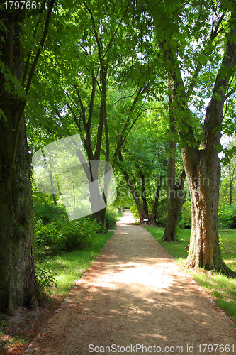 Image of Kornik arboretum - Poland