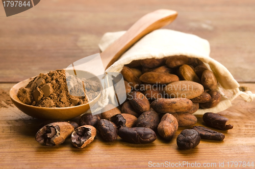 Image of Cocoa (cacao) beans on natural wooden table