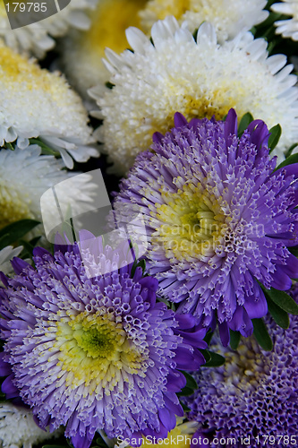 Image of Flowers