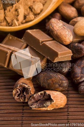 Image of Cocoa (cacao) beans with chocolate