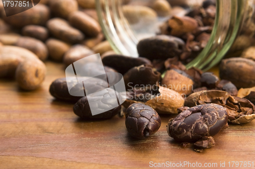 Image of Cocoa (cacao) beans on natural wooden table