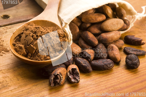 Image of Cocoa (cacao) beans on natural wooden table