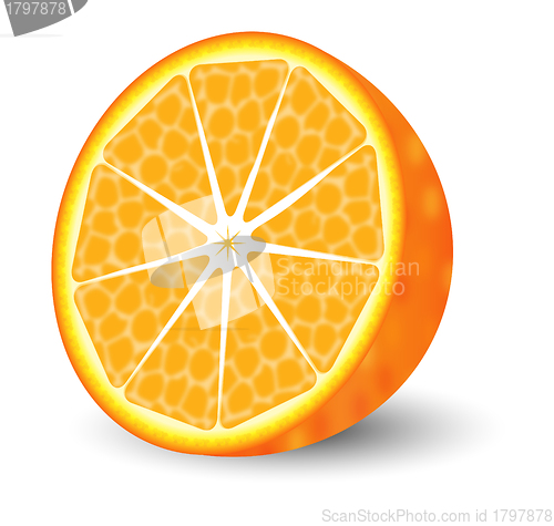 Image of Orange illustration