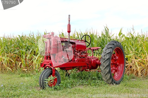 Image of Antique Red Tractor and Corn