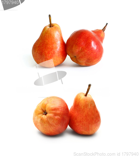 Image of Red pears on white