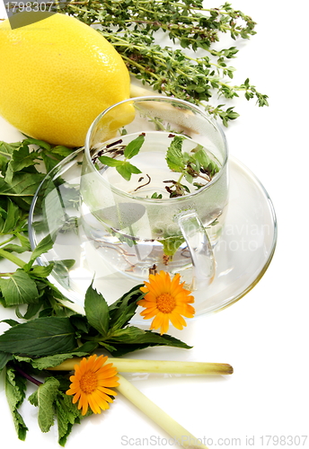 Image of Teacup, herbs and lemon.