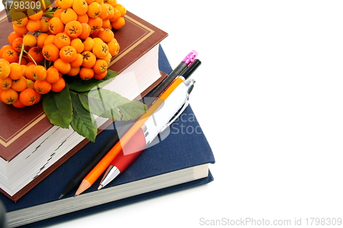 Image of Pencils, books and rowan