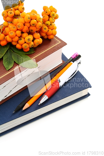 Image of Books, pencils, and bunch of rowan.