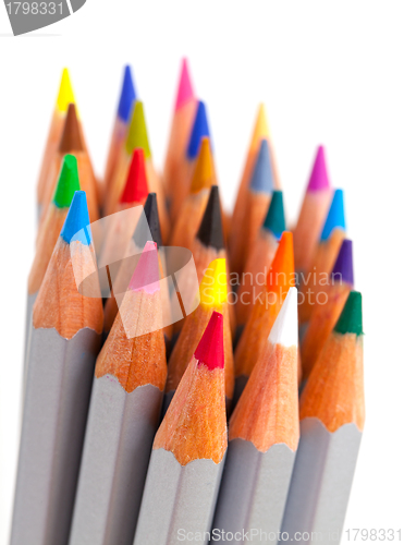 Image of Multicolored Pencil, Arrangement in Bunch