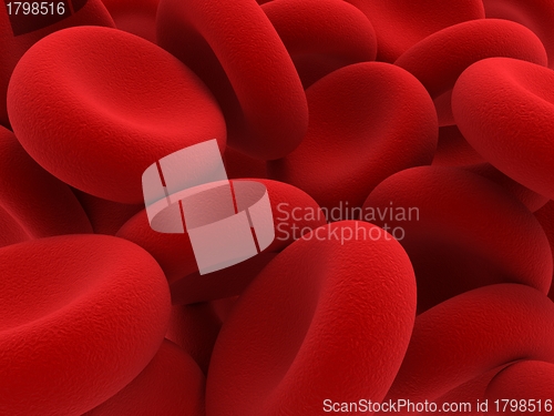 Image of Red blood cells