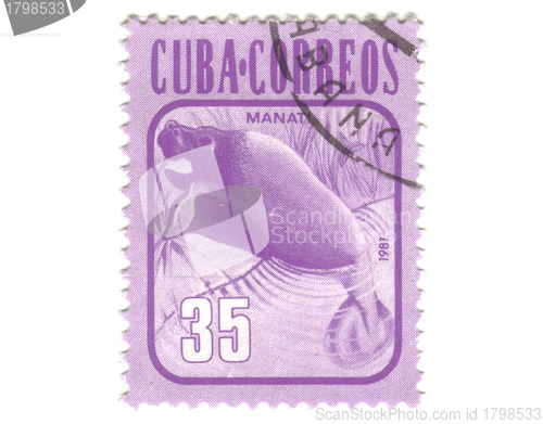 Image of Old postage stamp from Cuba with Manatus 
