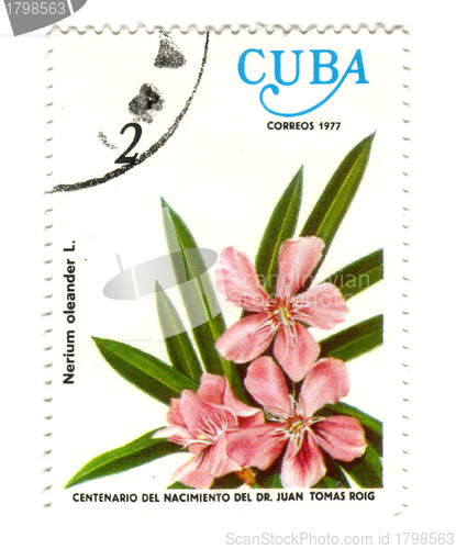 Image of Old postage stamp from Cuba with flower 