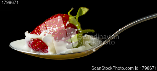 Image of red, ripe strawberry falling in spoon with milk