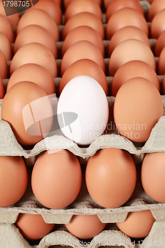 Image of Eggs in a box