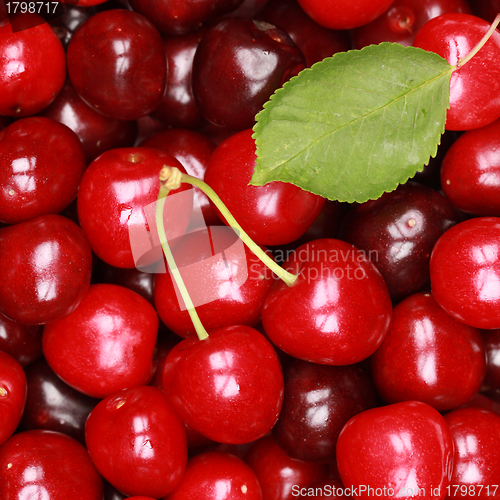 Image of Cherries