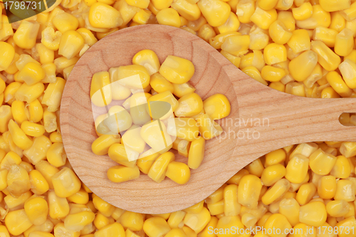 Image of Corn on a wooden spoon