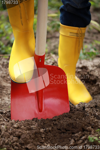 Image of Digging soil with a shovel