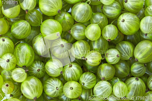 Image of Gooseberries background