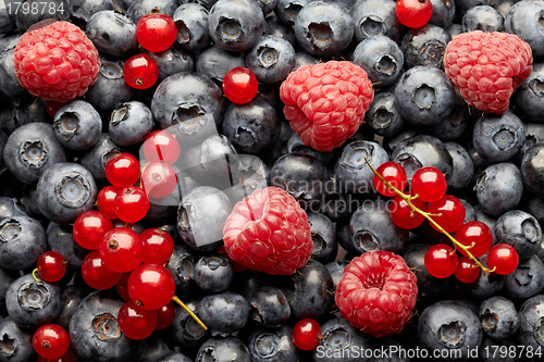 Image of blueberries and raspberries