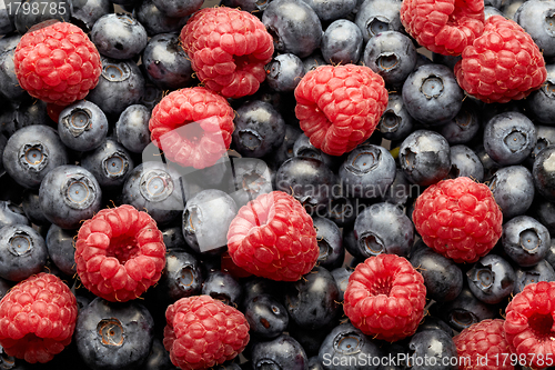 Image of blueberries and raspberries