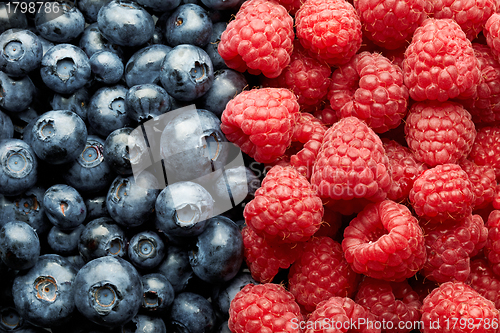 Image of blueberries and raspberries