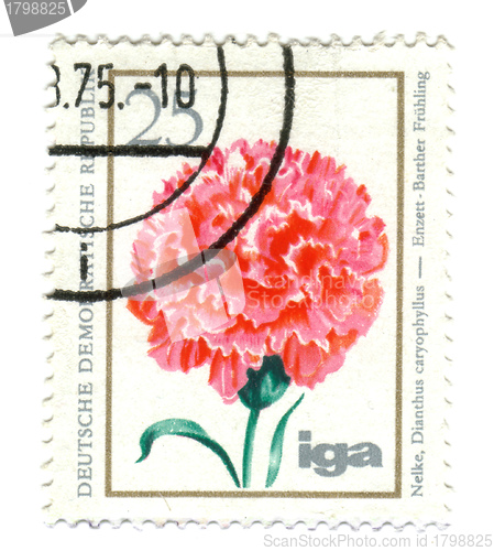Image of GERMANY - CIRCA 1975: stamp printed by Germany, shows IGA flower