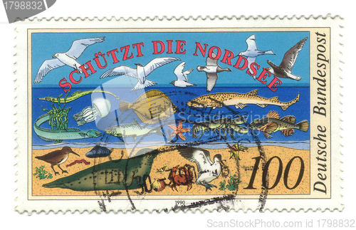 Image of GERMANY - CIRCA 1990: a stamp printed in the Germany shows North