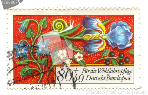 Image of GERMANY - CIRCA 1985: stamp printed in Germany, shows flowers, c