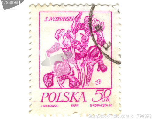 Image of POLAND - CIRCA 1968: A stamp is printed in Poland, flower, let o