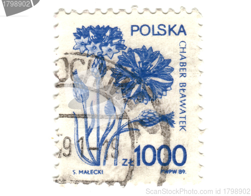 Image of POLAND - CIRCA 1989: A 1000 zloty stamp printed in Poland shows 