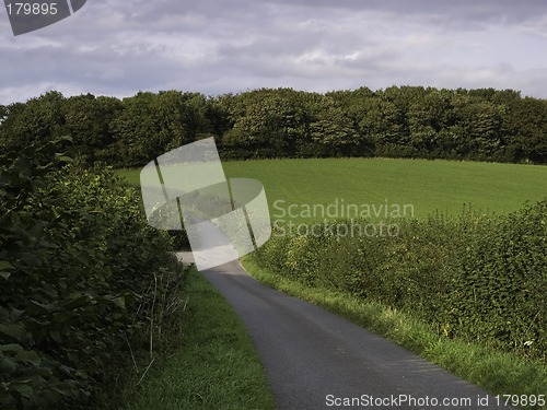 Image of Country Lane