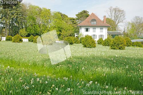 Image of Beautiful house rounded by a green field