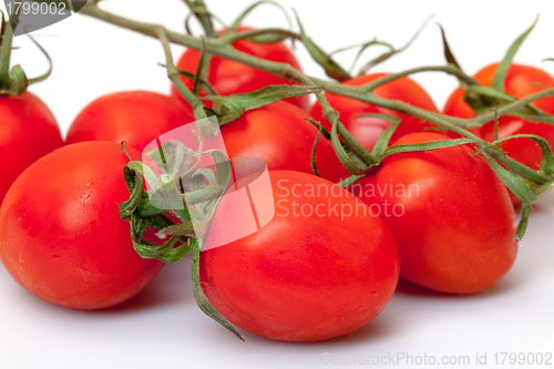 Image of Cherry Tomatoes