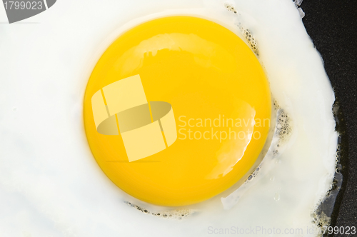 Image of Fried eggs on on a pan